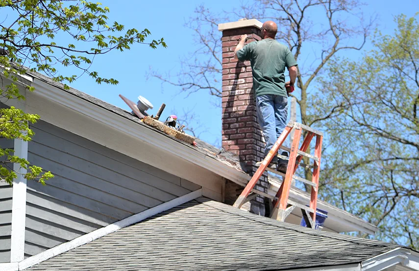 Chimney & Fireplace Inspections Services in Bristol, TN
